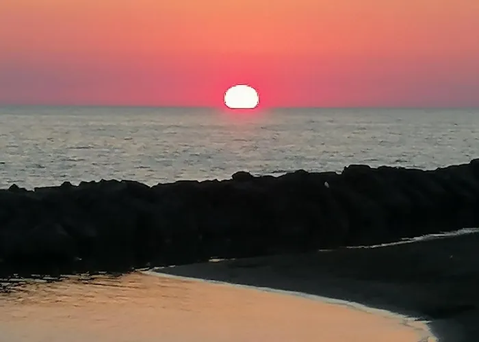 A Few Steps From The Sea